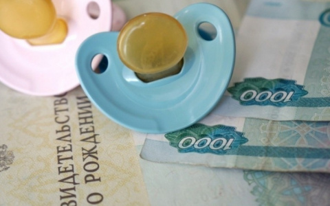 С 1 февраля во Владимирской области подросли все виды пособий