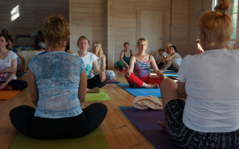 Пользователи Сети нашли идеальный способ бороться со стрессом