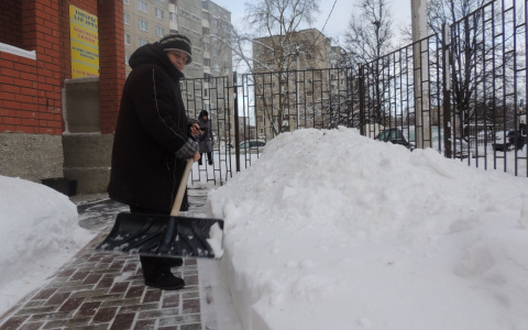 Владимирский дворник - об аномальном снегопаде, цветах и хамстве