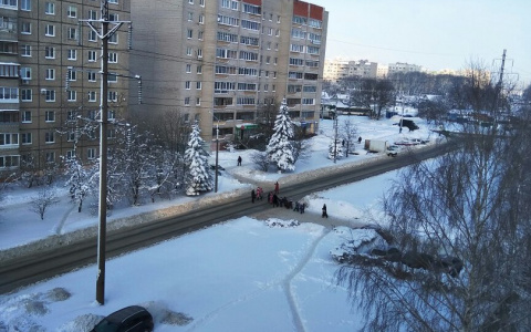 Во Владимире воспитанников детсада учат переходить дорогу в неположенном месте?