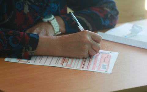 Владимирских родителей приглашают сдать ЕГЭ