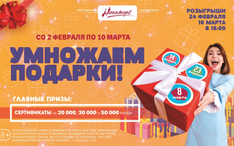 ТК МЕГАТОРГ Владимир дарит деньги на шопинг!