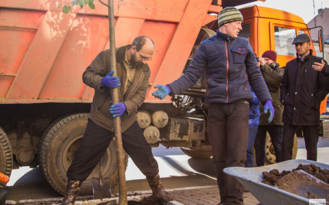 Владимирцы выбрали городские территории, которые облагородят в этом году