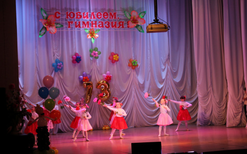 В юбилейный год владимирская Гимназия №73 ждет особый подарок