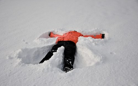 Горожанин: "В Загородном парке с нас потребовали деньги за место в сугробе!"