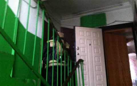 Во время пожара в Александрове спасли двух школьников