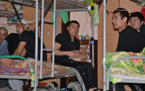 Двое жителей Коврова приютили 21 "сиротку"