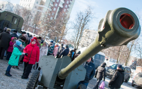 Владимир празднует День защитников Отечества (фото)