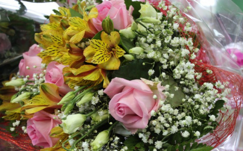 Незабываемое 8 марта: 3 идеи для празднования