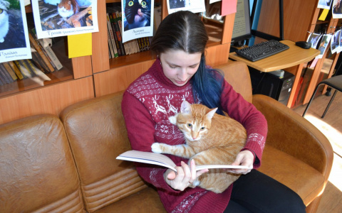 Владимирские библиотекари устроили милейшую акцию в честь дня котиков