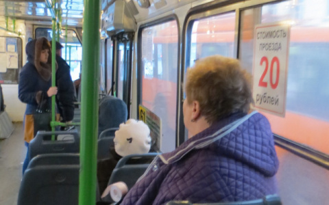 В России готовы запретить высаживать на мороз безбилетников