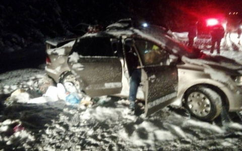 Страшная авария под Киржачем: двое погибли и один выжил