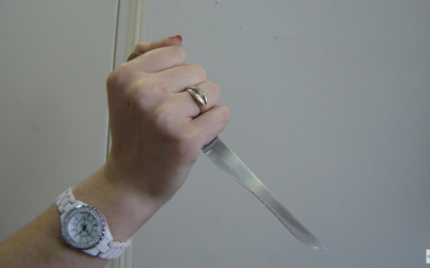 Во Владимире женщина зарезала сожителя и "прикрылась" ребенком