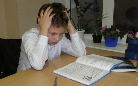 Горожанка: «Наших детей заставляют учиться в праздничный день!»