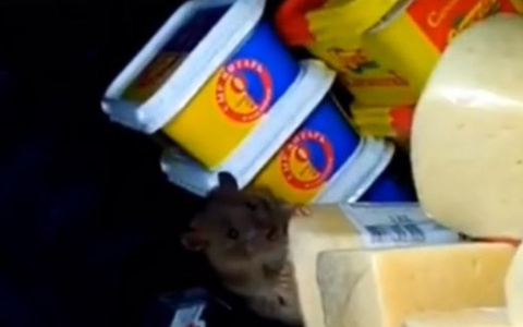 Владимирцы в шоке от увиденного на одном из прилавков владимирского магазинчика (видео)