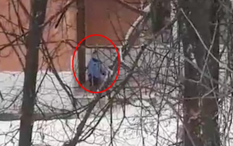 Воспитатели одного из детсадов Владимирской области забыли малыша на морозе (видео)