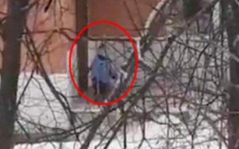 Установлен номер детсада, в котором во время прогулки забыли ребенка