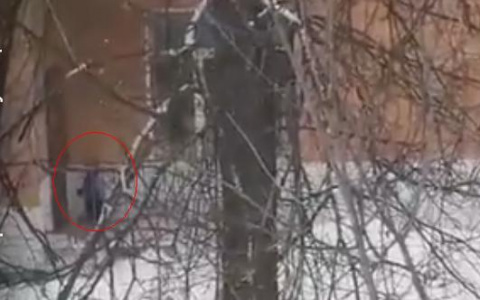 Воспитатели рассказали, как умудрились забыть ребенка во время прогулки