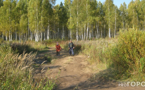 Гусевчанин нашел в лесу редкое растение, которое довело его до суда