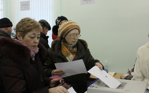 Около 30% жителей 33 региона проголосовали на президентских выборах