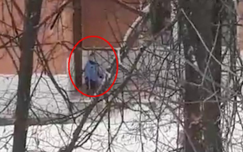 Следователи нашли и допросили автора видео о сбежавшем из садика ребенке