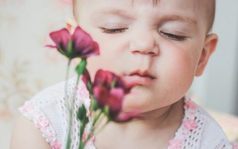 Российские ученые создали приложение для детей с аллергией