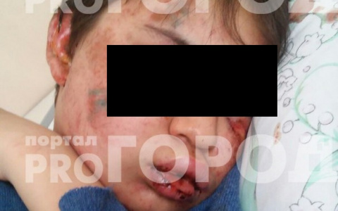 Следователи допросили родителей подростков, избивших мальчика в Покрове