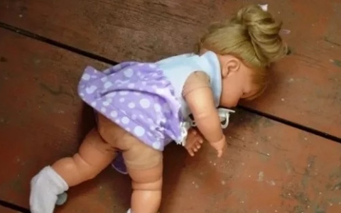 Во Владимирской области отец-одиночка развращал 8-летнюю дочь и ее подружку