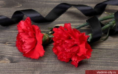 Владимирцы соболезнуют семьям погибших в Кемеровской трагедии