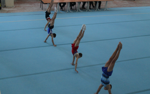 Во Владимире пройдут соревнования первенства ЦФО по спортивной гимнастике