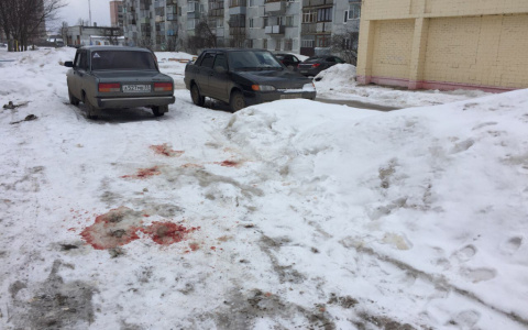 Следователи выяснили, из-за чего в Коврове началась смертельная драка