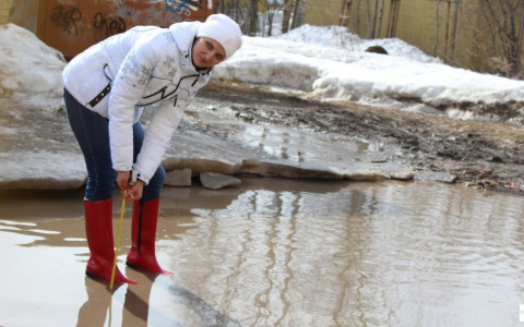 Весна во Владимир придет через несколько дней