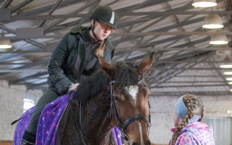 Владимирская конноспортивная школа отметит 10-летний юбилей со дня основания