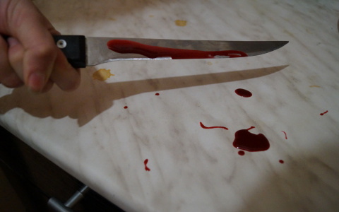 Вязниковец, зарезавший жену и дочь, сделал звонок матери перед убийством