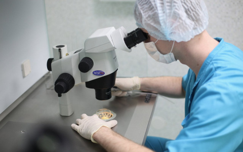 Жительницы Владимира получат бесплатное лечение бесплодия по квоте в клинике Европейского уровня