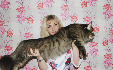 Выбираем лучшее "Котофото"!