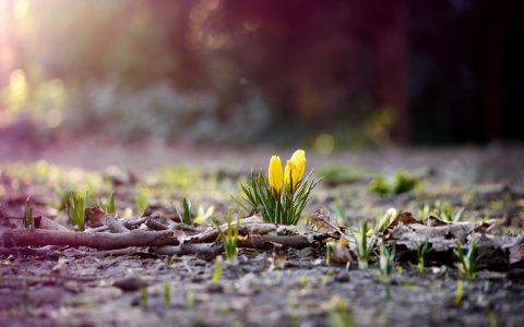 Во Владимире будет теплеть с каждым днем