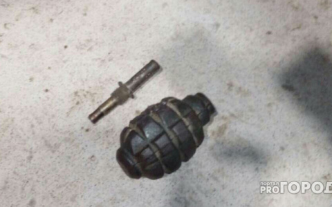 В Красной Горбатке парень с гранатой напал на полицейского