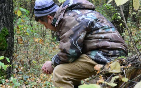 Муромский грибник пытался чайником забить незнакомца