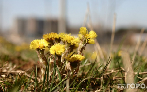 Во Владимире наконец-то установится теплая погода