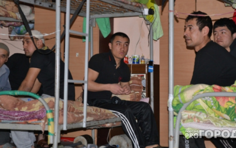 Жители Коврова массово прячут у себя дома мигрантов