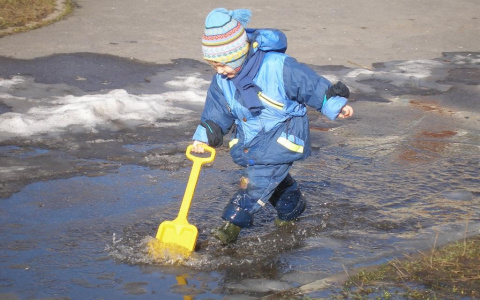 Погоду во Владимире штормит от -3 до +8