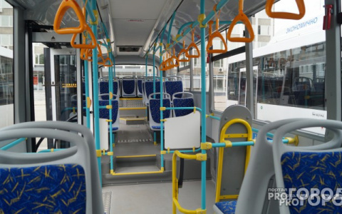 Во Владимире пассажира высадили из автобуса на проезжую часть