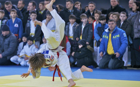 Во Владимир съедутся 250 дзюдоистов со всей России