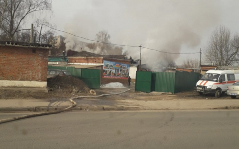 В приюте для животных "Валента" случился пожар