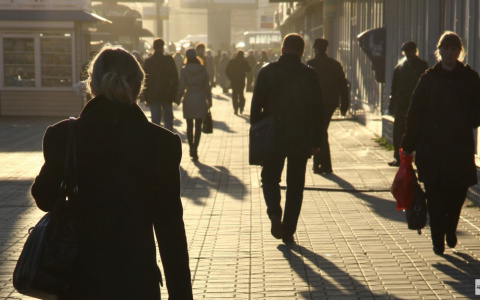 В выходные во Владимире потеплеет до +13