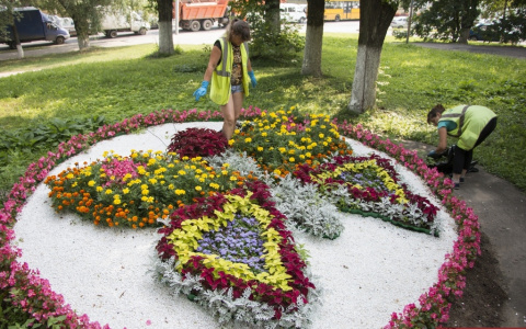 Во Владимире высадят 370 000 цветов, которые украсят улицы города