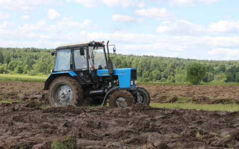 Во Владимирской области пройдут чемпионаты России и Европы по пахоте