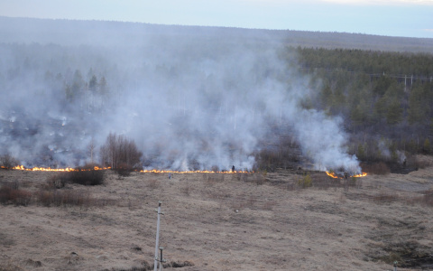 Во Владимирской области неизвестные начали поджигать сухую траву  (видео)