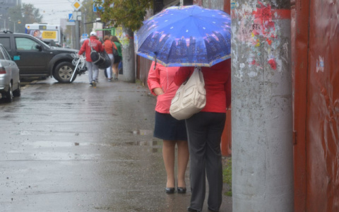 Синоптики предупредили о надвигающихся заморозках и снеге